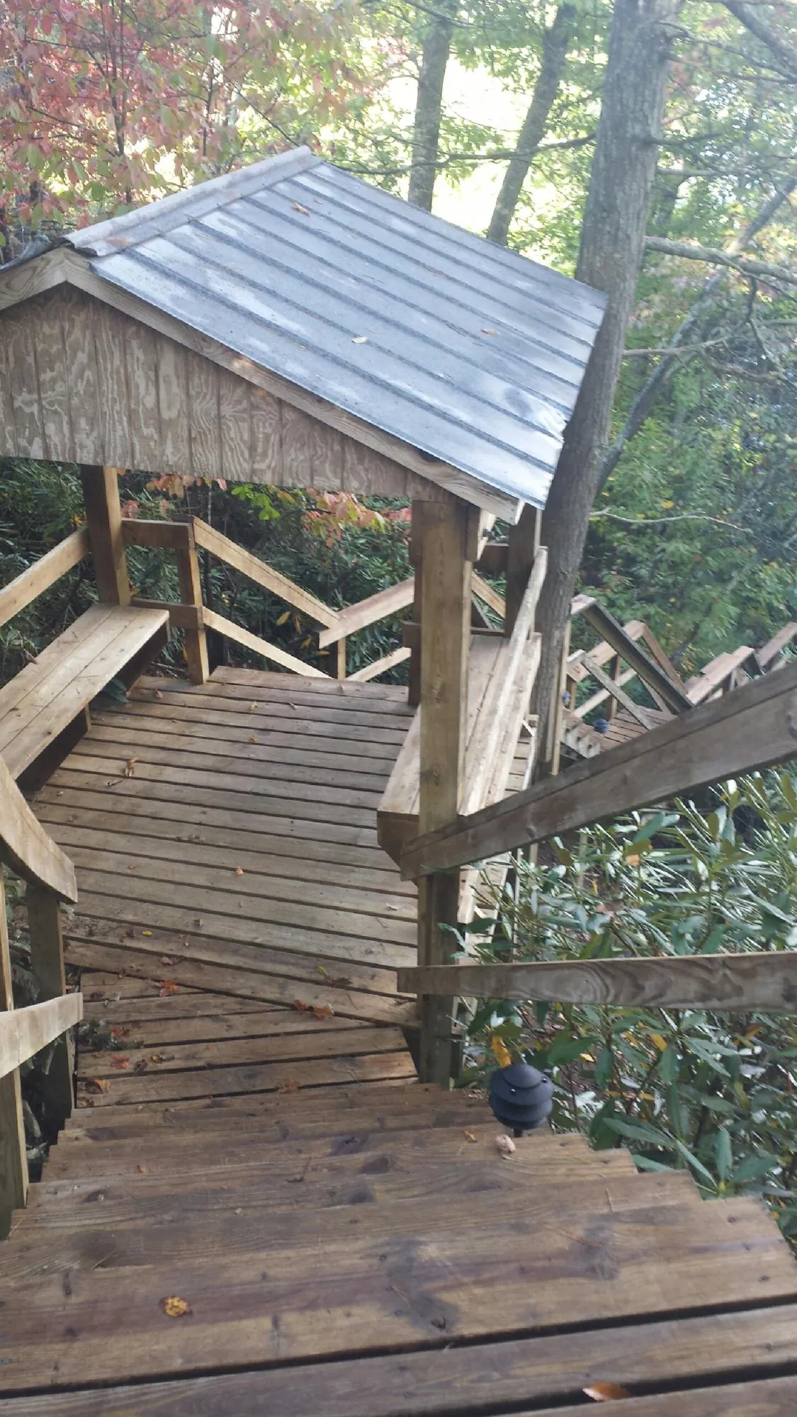 Metal roofed shelter over wooden steps on a wooded walkway — Skylight Repair & Installation work by our crew in Springboro